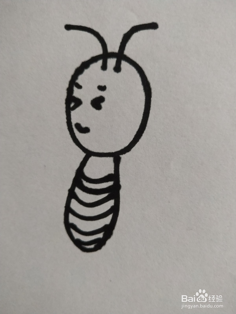 蜜蜂的简笔画技法8