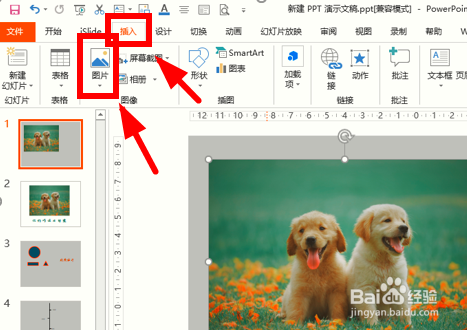 怎么用ppt给你的照片加上文字?