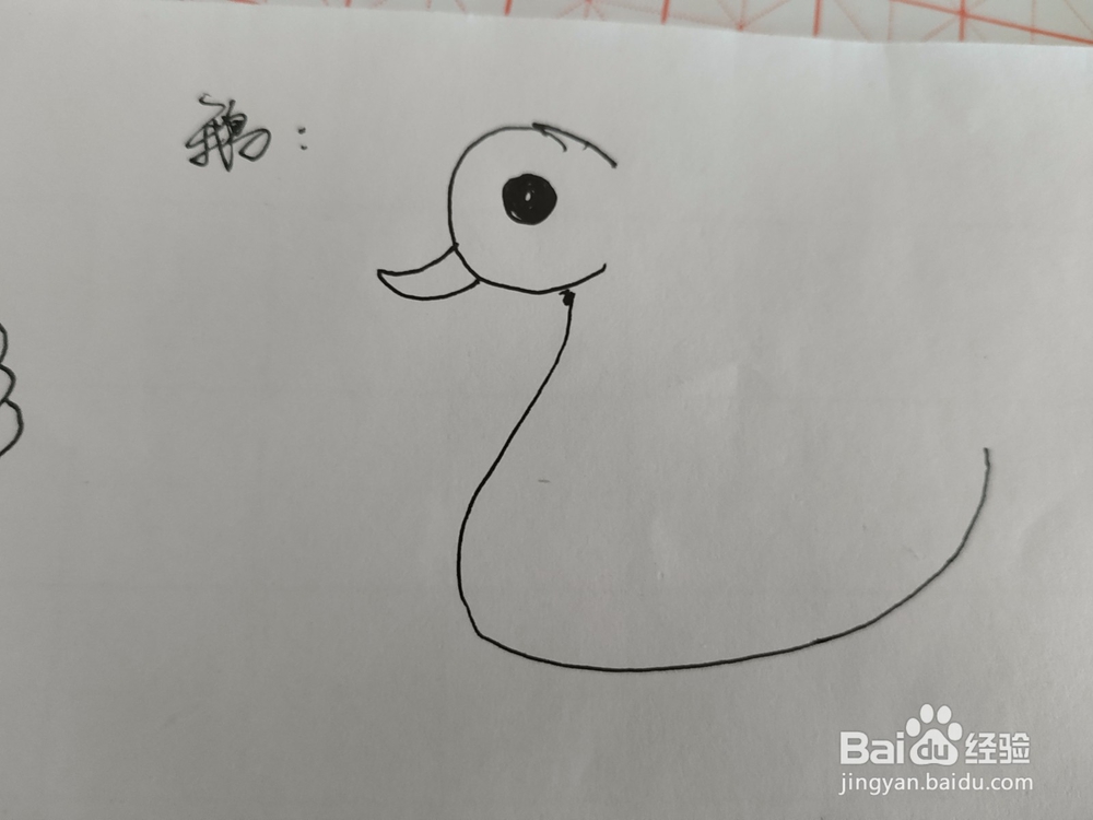 大白鹅简笔画怎么画呢