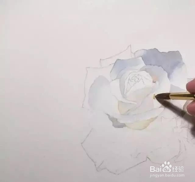 水彩玫瑰花的画法
