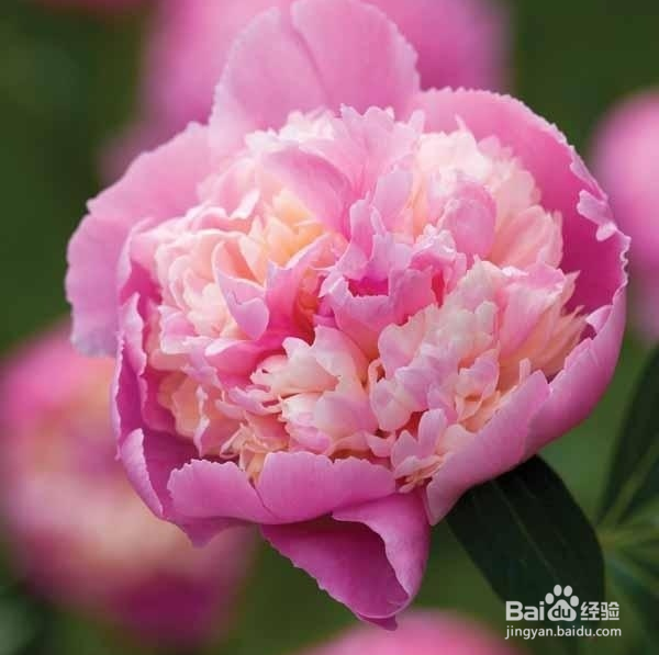 联通3g卡怎样包流量