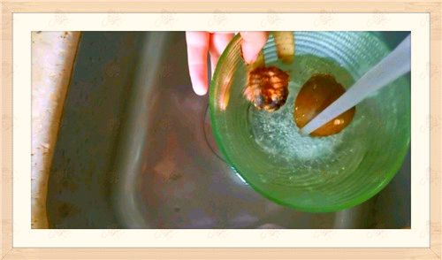 陈皮罗汉果炖雪梨汤