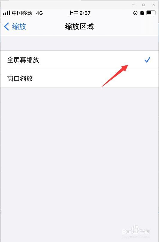 苹果手机上如何设置缩放区域
