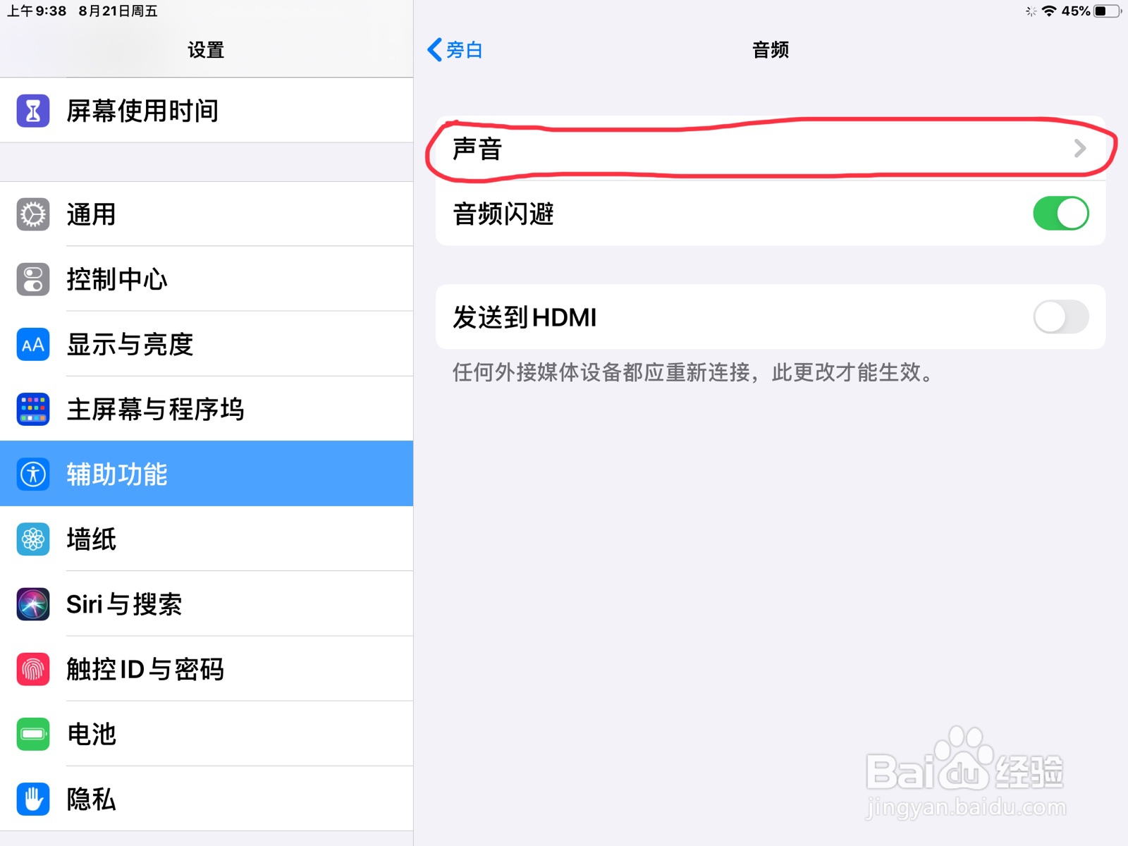 iPad怎么在旁白设置已选择自动填充建议的预览
