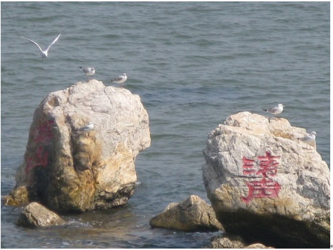 怎样安排北戴河娱乐游