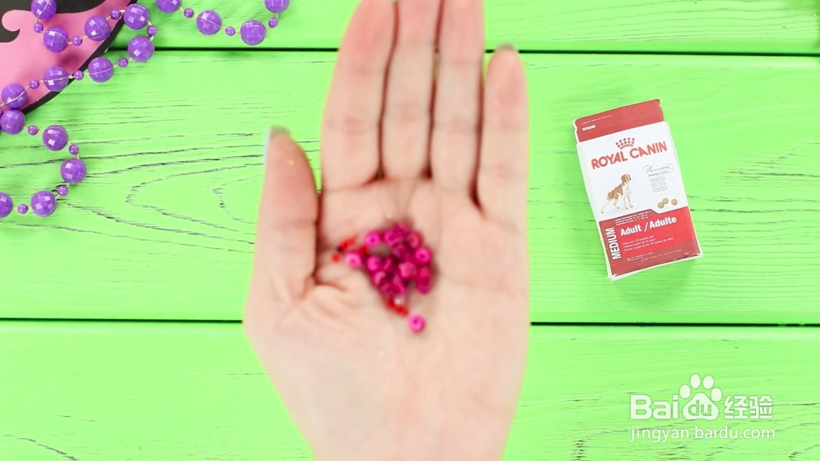 如何给宠物狗狗diy美味的食物？