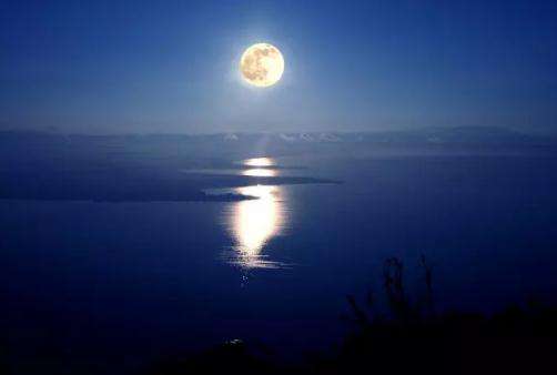 钱塘湖春行名句赏析 短一点