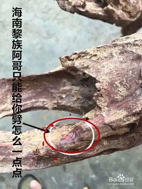 您知道如何买海南黄花梨原材料吗?