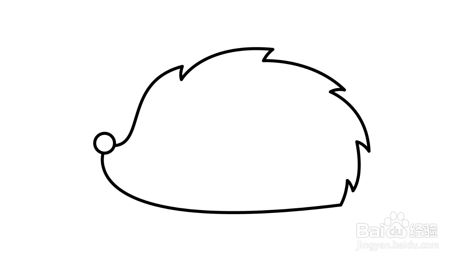 简笔画教程:刺猬简笔画
