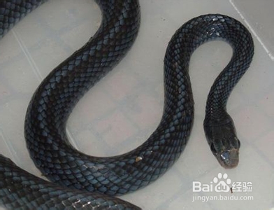 如何最有效治疗落枕：[1]中医药膳