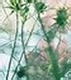 考公务员不得不知的问题11