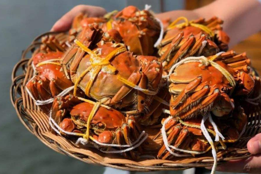 大闸蟹死亡不超过24小时能吃吗