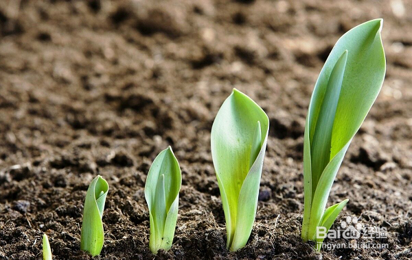 做试管婴儿之前,你最应该知道的几件大事!