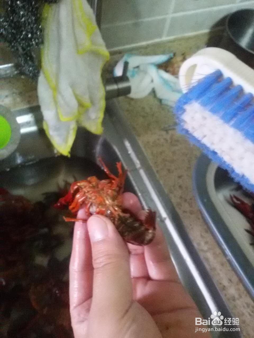 如何清洗小龙虾?