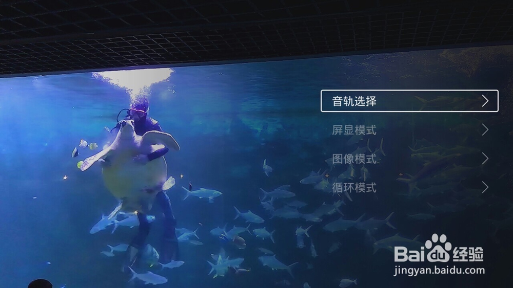 如何在电视上自动播放宝宝的视频/照片