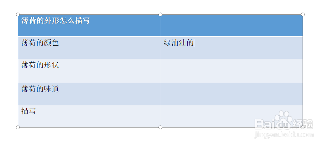 薄荷的外形怎么描写