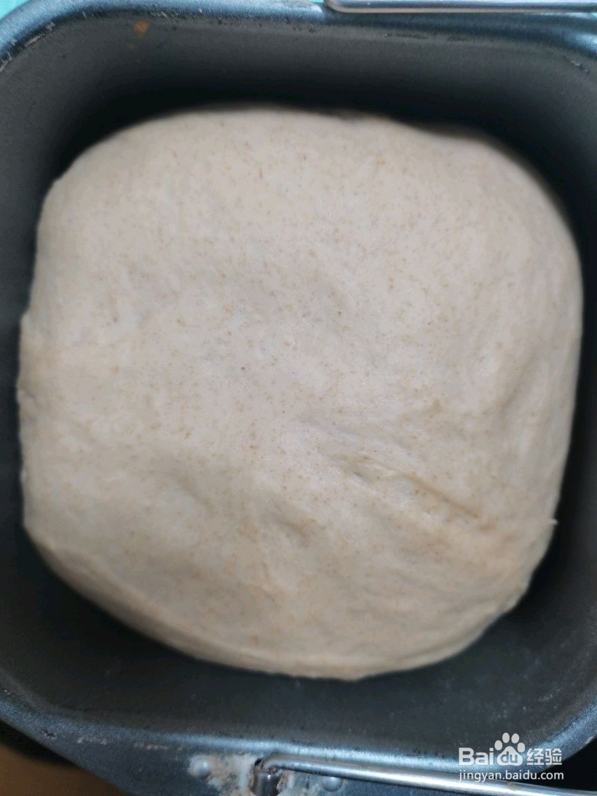 肉松沙拉酱面包的做法