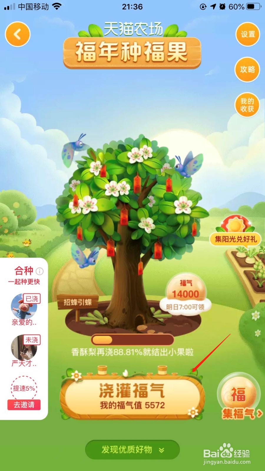 手机淘宝如何免费领取水果