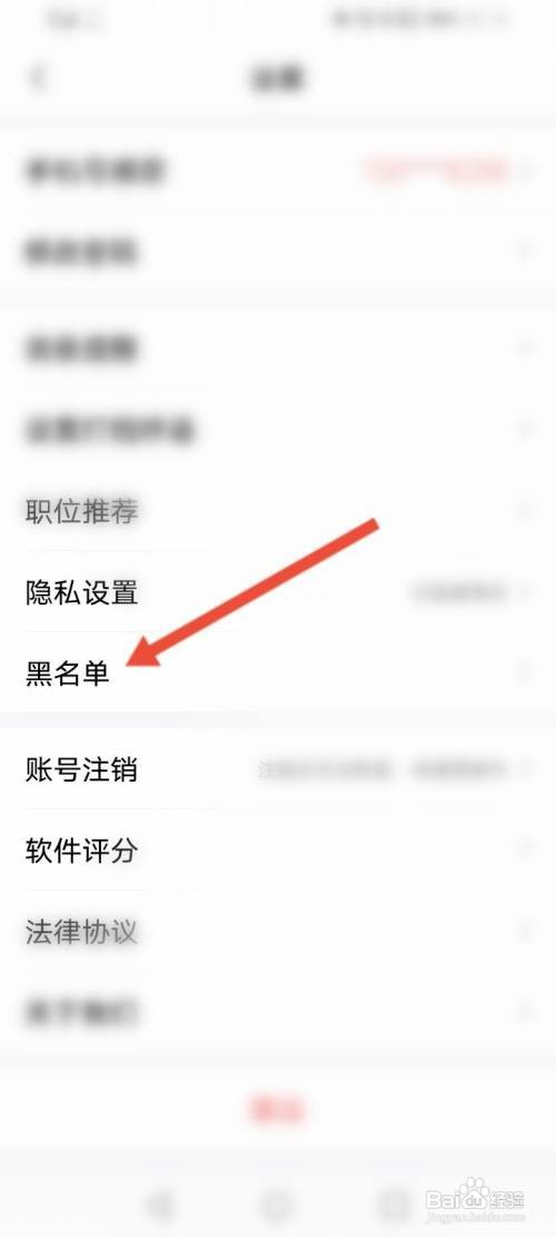如何查看智联招聘的黑名单信息
