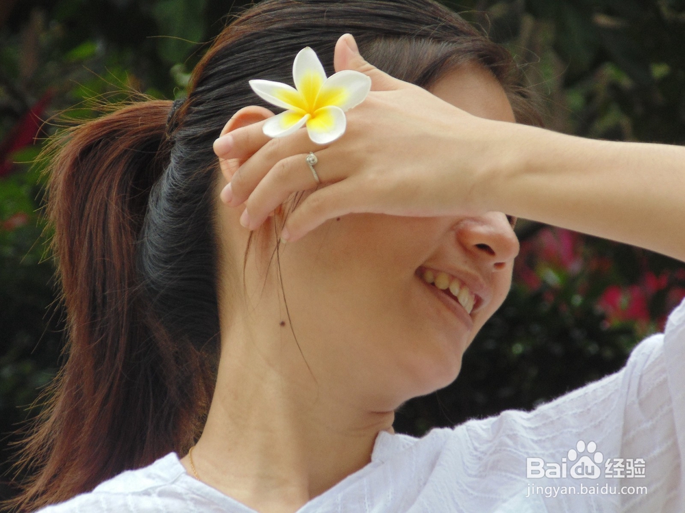 如何到公园免费玩呢