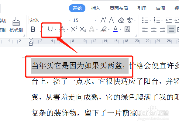 word里面怎么加横线