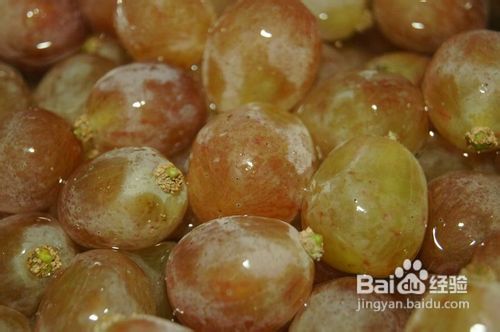 怎么去除葡萄或者提子上的白霜
