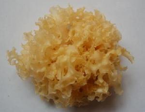 怎么进行日常美白