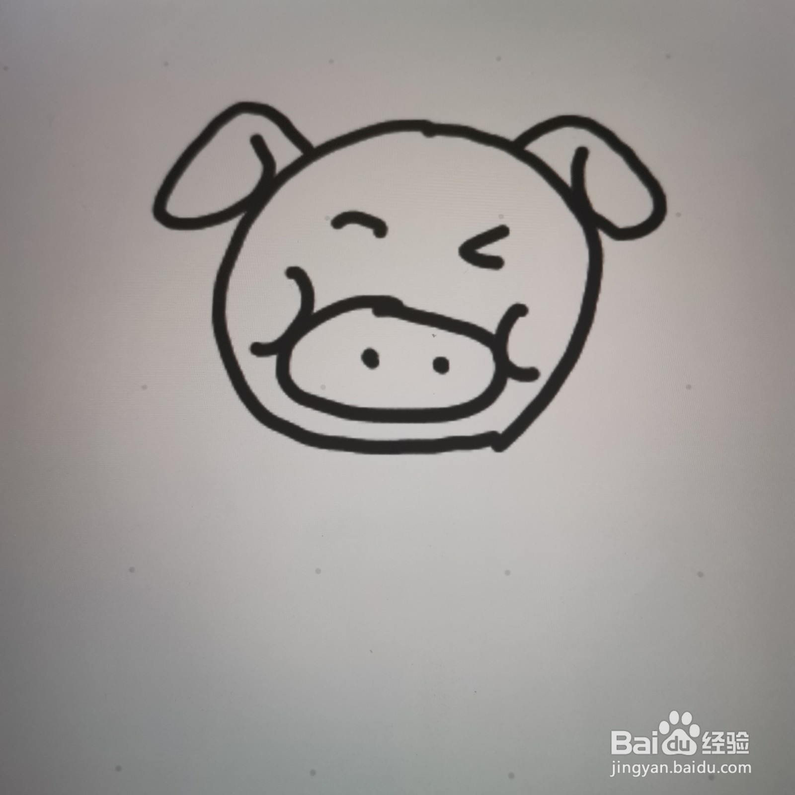 小动物简笔画怎么画