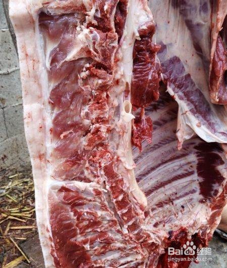 育肥猪的饲养方法