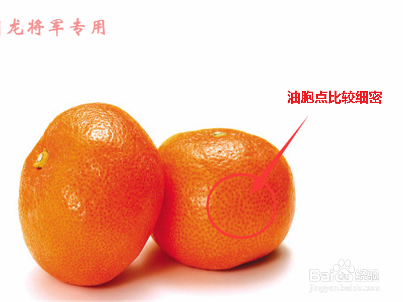 教你怎么挑选橘子