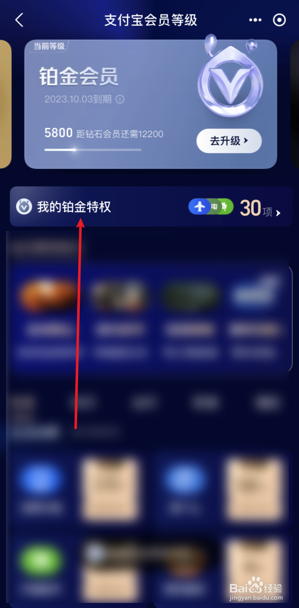 支付宝怎么领取铂金会员权益