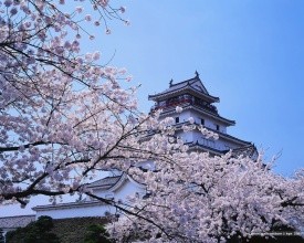 如何追到自己喜欢的女孩1