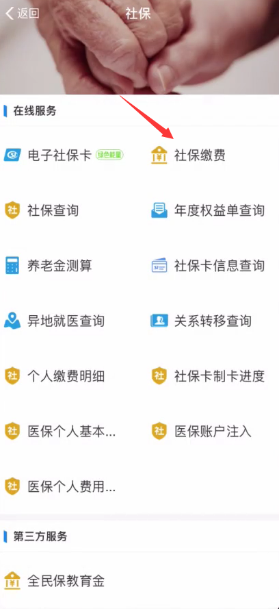 怎么在网上给农村合作医疗缴费