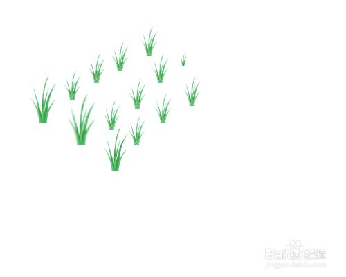 先在纸上画上几棵秧苗.