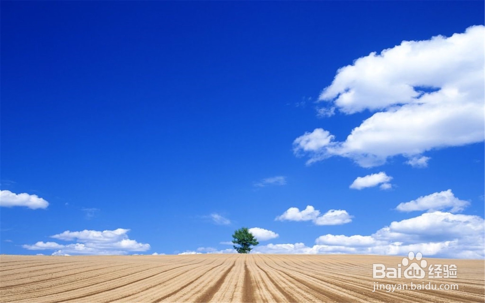 get到了！5种不同场景下的手机拍照技巧