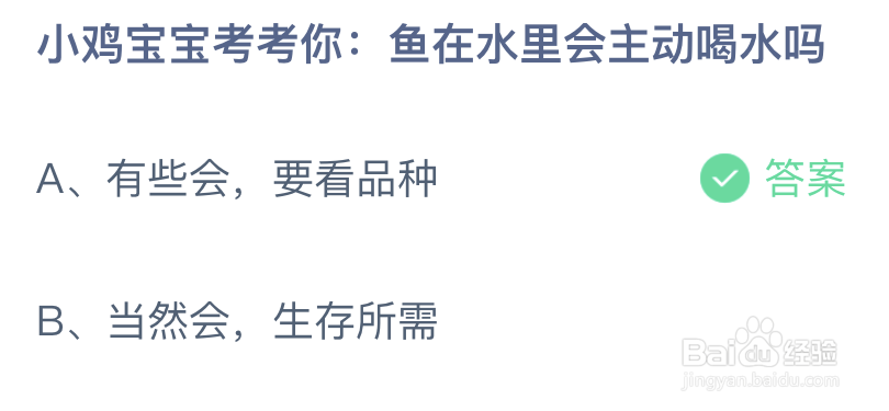 小鸡宝宝考考你鱼在水里会主动喝水吗