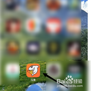 查询斗鱼的活动奖金