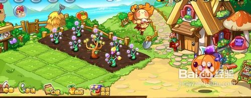 洛克王国南瓜搜集令任务怎么做呢？