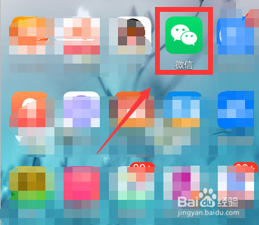 泰康人寿保险怎么查询保单