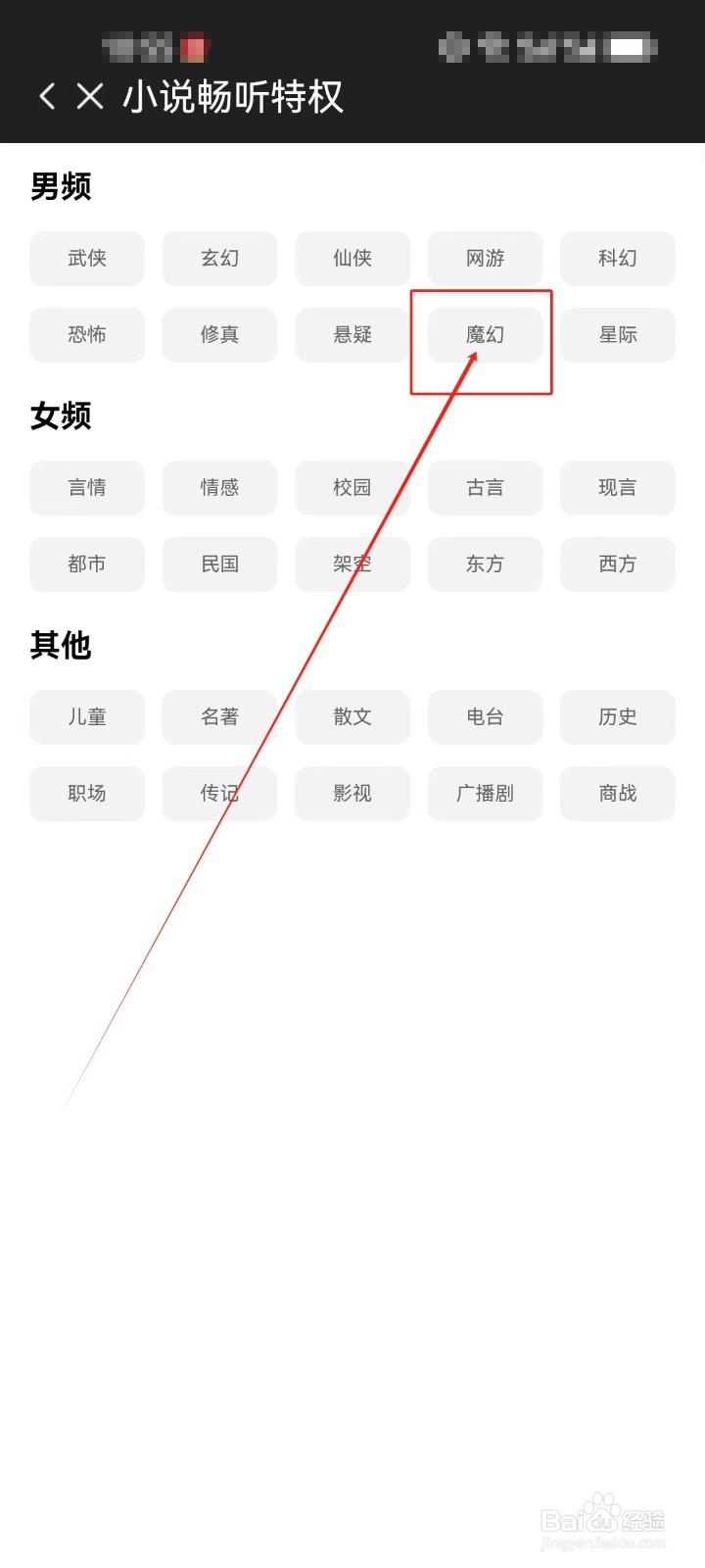 360手机浏览器怎么查看《魔幻》主题分类小说？