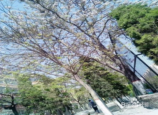 【校园指南】山西医科大学汾阳学院勤工俭学攻略