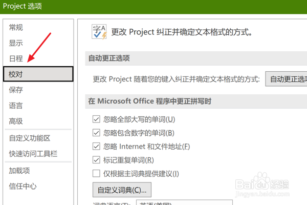Project中怎么设置仅根据主词典提供建议