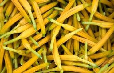 自然阳光：驴肉跟什么不能一起吃呢？