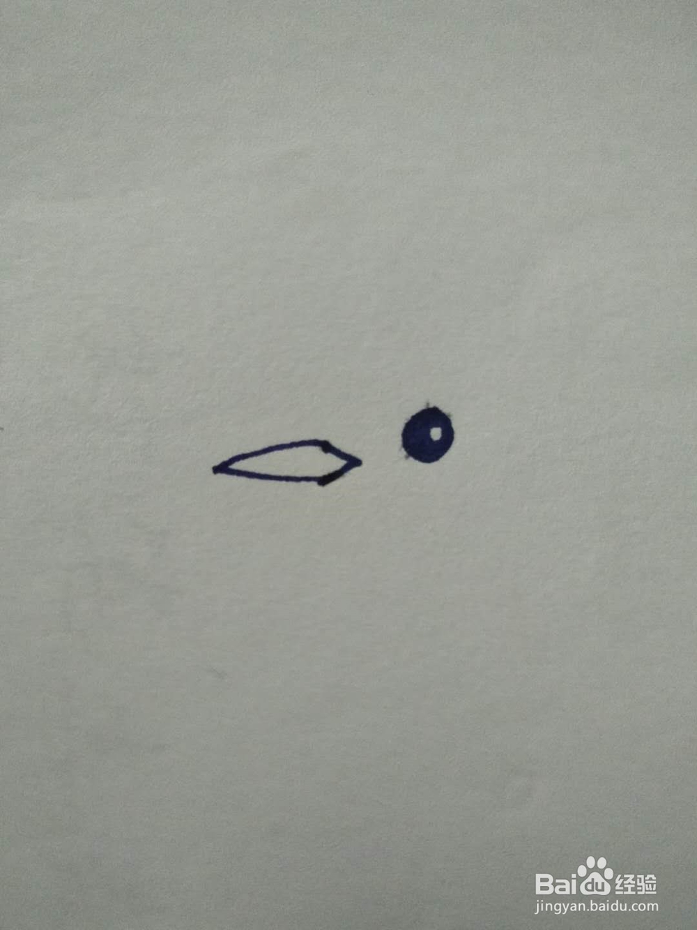 小鸟的简笔画怎么画？