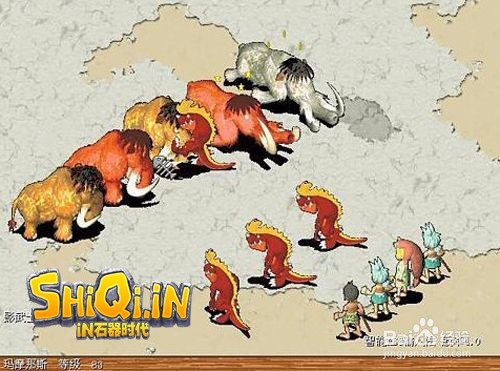 【in石器时代】南岛百人道场