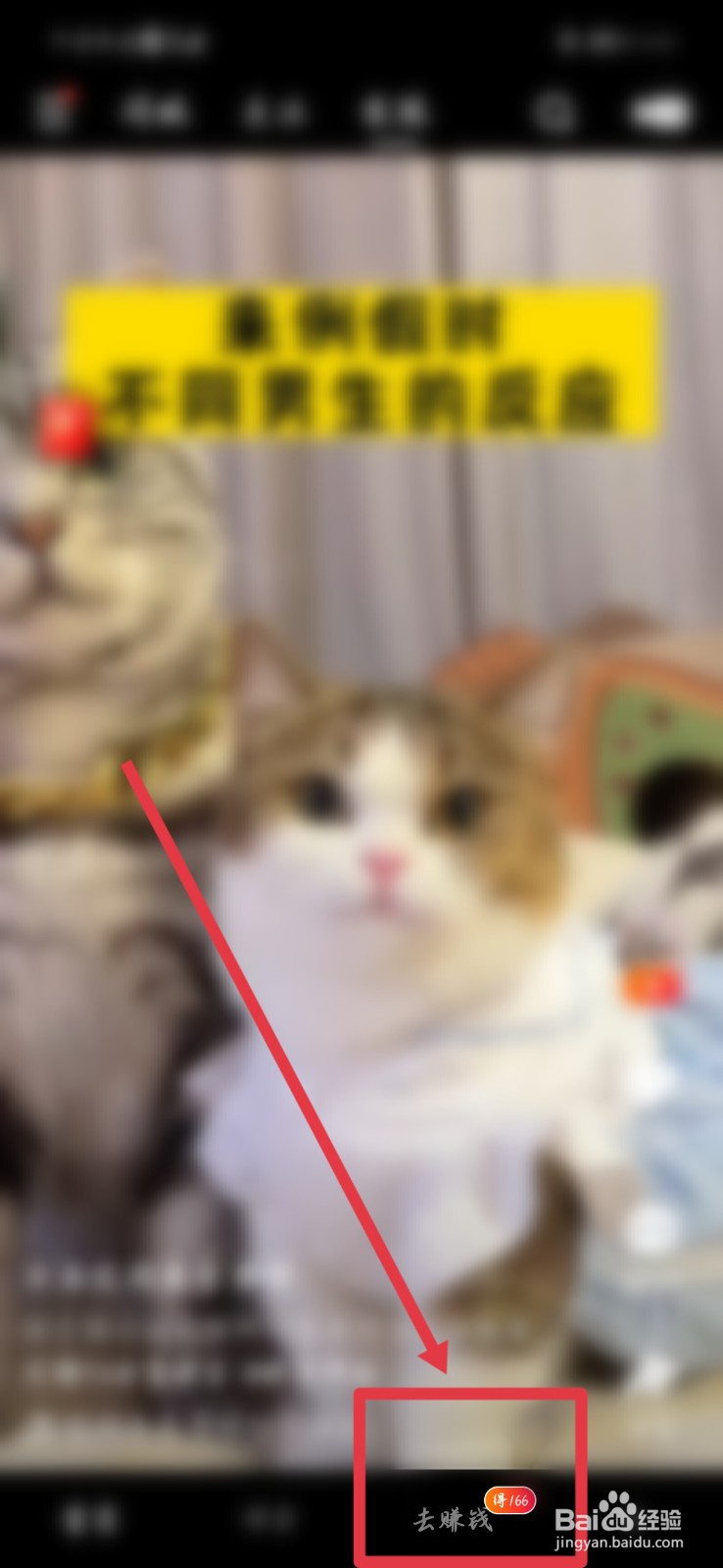 在哪里查看快手极速版已累计赚到的钱