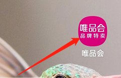 怎样找到唯品会APP的尺码管理