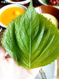 如何治冻疮，冻疮？