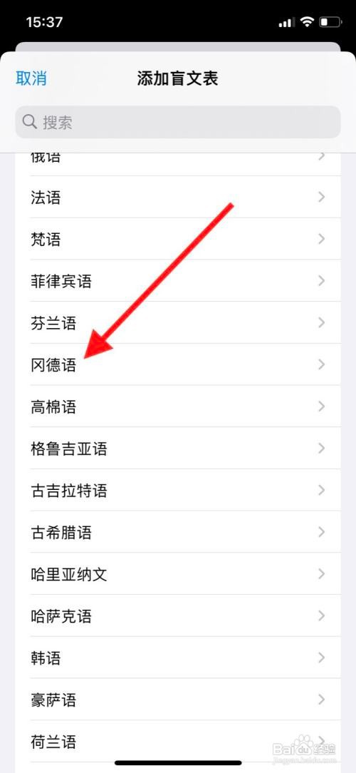 苹果手机怎样增添旁白“冈德语”盲文表