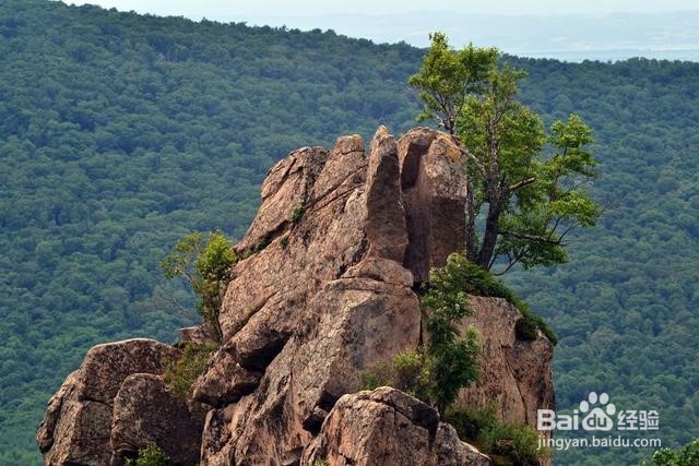 鸡冠山自驾一日游攻略
